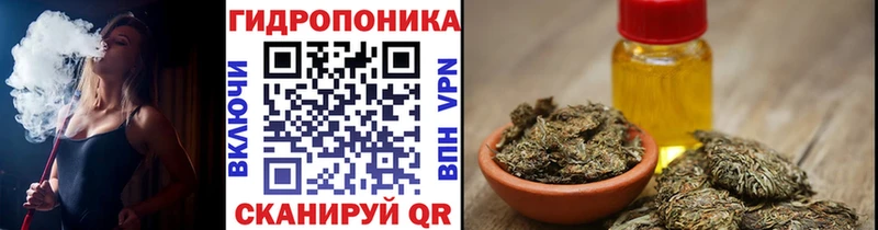 omg tor  Фокино  Марихуана конопля  сколько стоит 